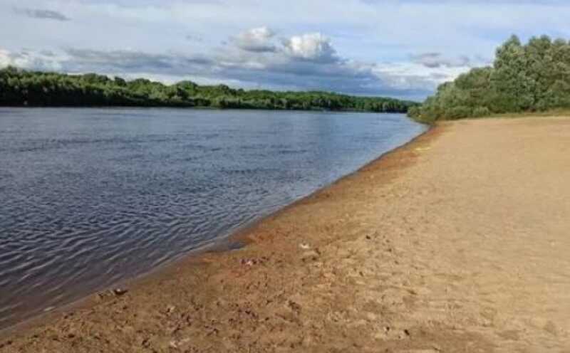 В Нижнем Новгороде и ХМАО фиксируют заражение личинками во время купания