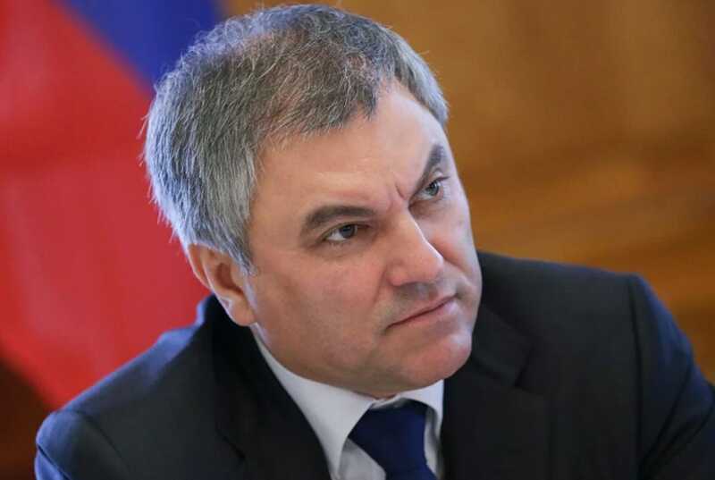 Мать Вячеслава Володина получила 350 миллионов рублей господдержки для расширения бизнеса