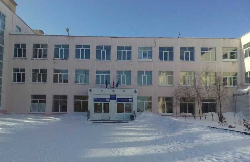 В Новом Уренгое школьник совершил нападение с ножом на свою одноклассницу